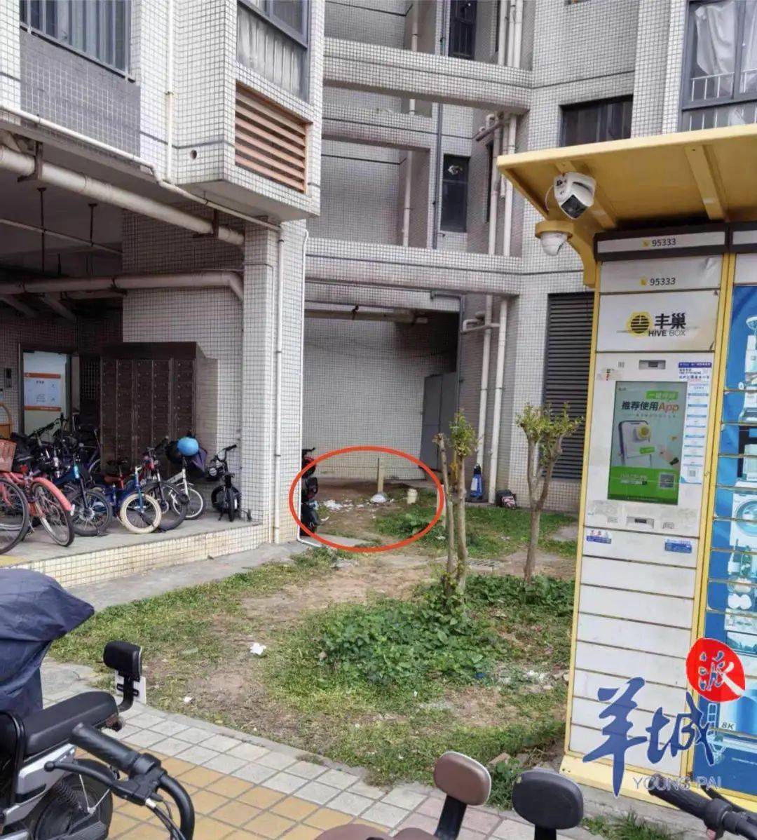皇冠信用網怎么申请
_广州一清洁阿姨被天降玻璃瓶砸中皇冠信用網怎么申请
，血流不止！小区物业：尚未找到肇事者