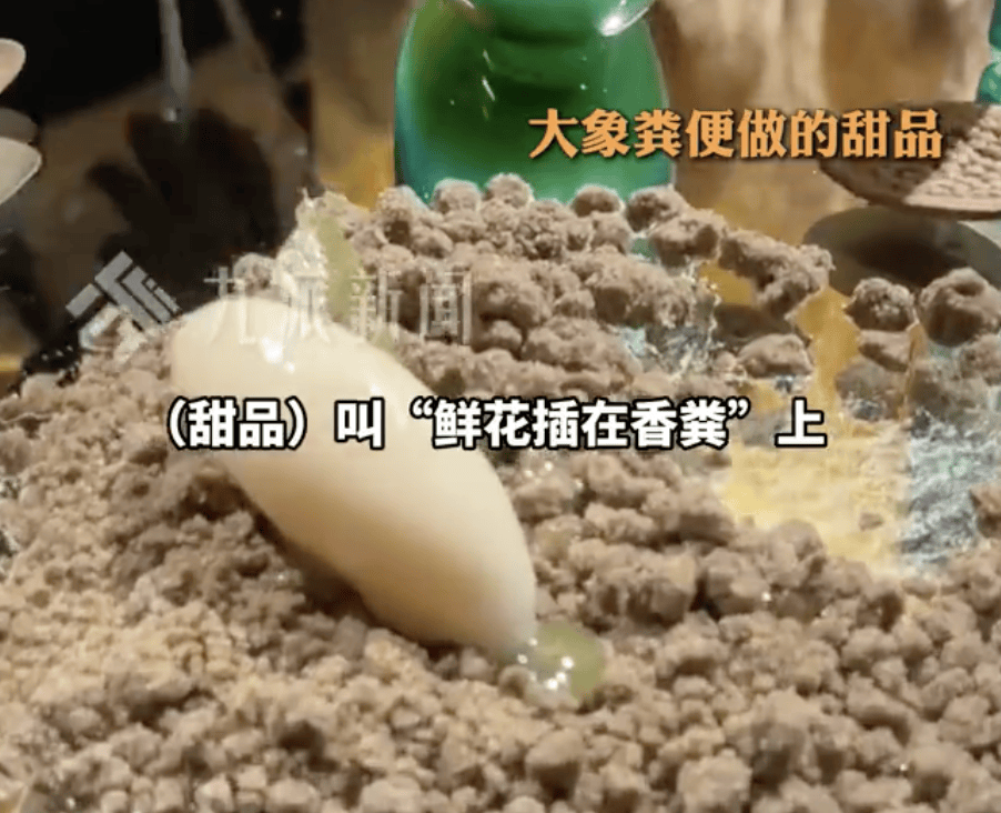 中北美洲及加勒比海冠军賽
_上海一人均近4千餐厅让食客啃树叶、品尝大象粪便中北美洲及加勒比海冠军賽
！员工：创始人研究了7年