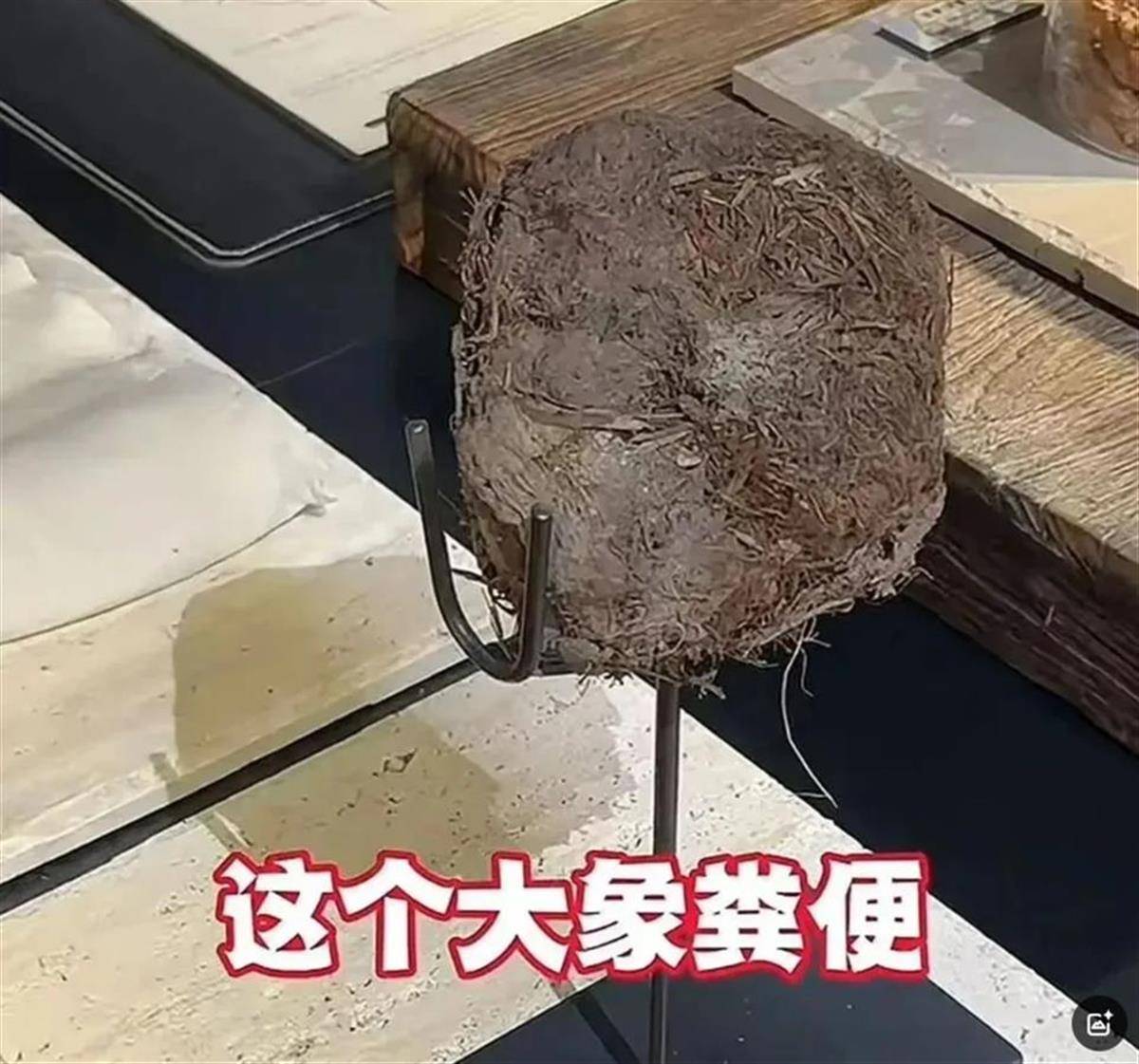 奇幻赛事
_用大象粪便做甜品的餐厅奇幻赛事
，因违反《食品安全法》被立案调查