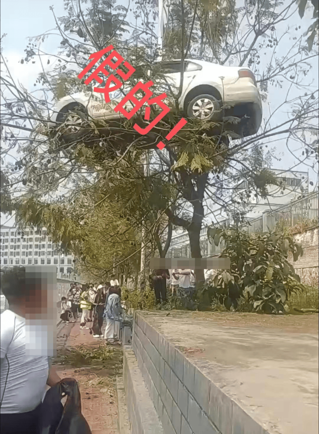 皇冠信用盘代理登3
_大反转皇冠信用盘代理登3
！竟然是假的！确认系摆拍