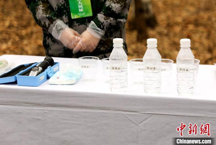 皇冠信用盘代理申请
_黑龙江：今年预计采集20万吨桦树汁 带动林区增收超4亿元