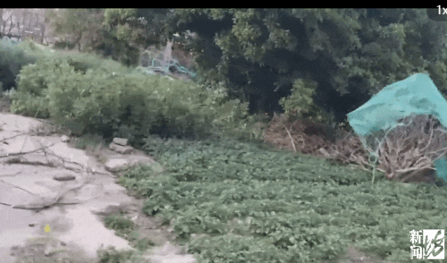 hga035会员注册
_存在8年无法去除hga035会员注册
！沪一小区居民犯愁：阵阵恶臭……怎么办？