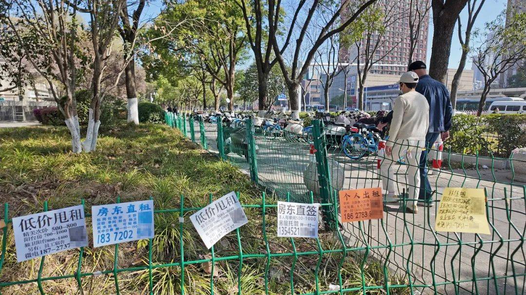 皇冠信用盘代理申条件
_一二线城市房租普降皇冠信用盘代理申条件
，房东主动降200留我