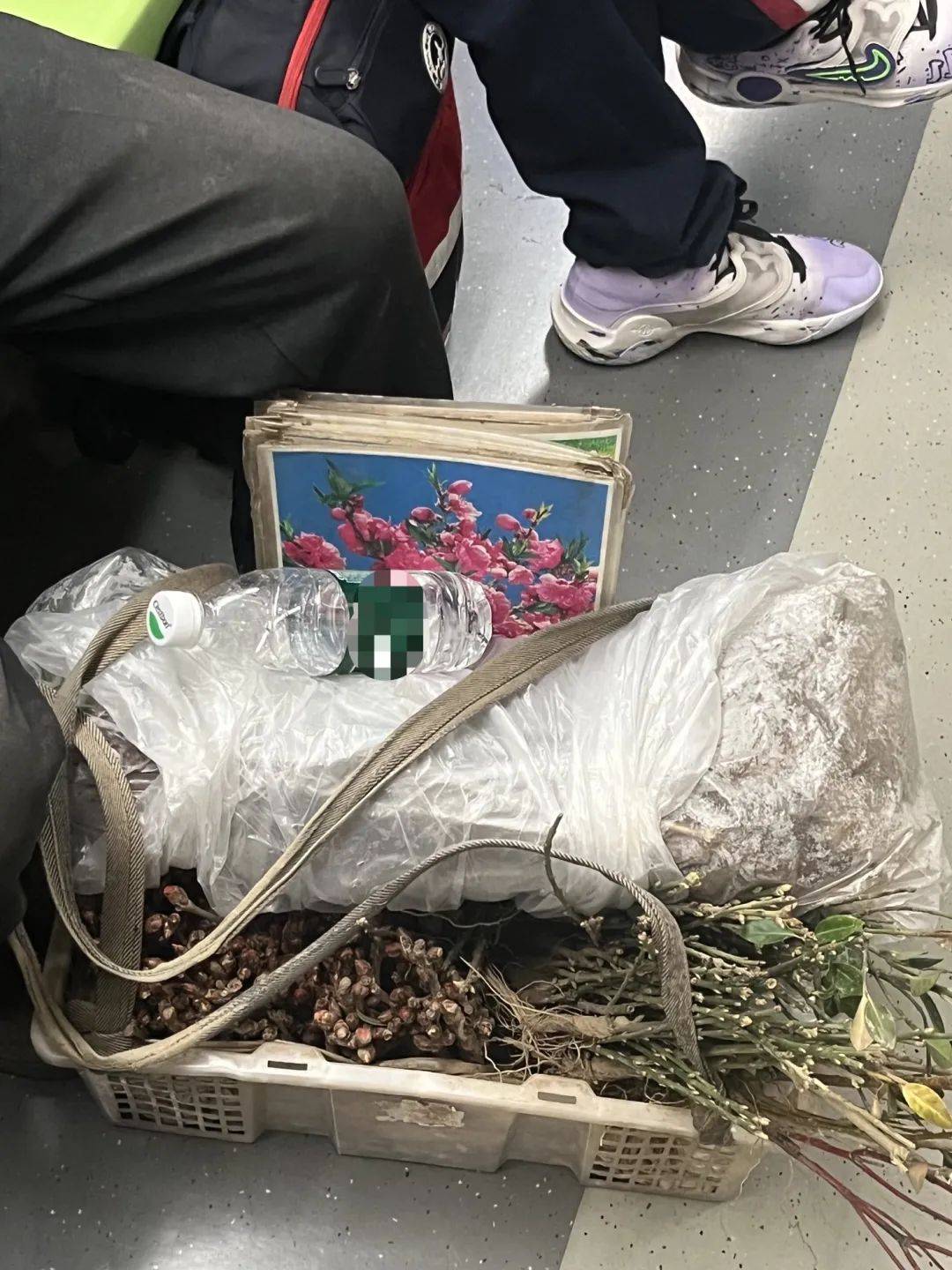 皇冠信用盘注册开通
_北京地铁皇冠信用盘注册开通
，永远欢迎沾着泥巴的普通劳动者！