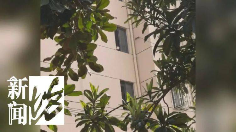 皇冠信用盘代理
_被折磨到崩溃！上海一九旬老太每天定时“输出”皇冠信用盘代理
，邻居被迫“魔法打魔法”