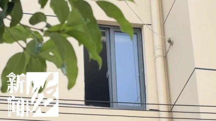 皇冠信用盘代理
_被折磨到崩溃！上海一九旬老太每天定时“输出”皇冠信用盘代理
，邻居被迫“魔法打魔法”