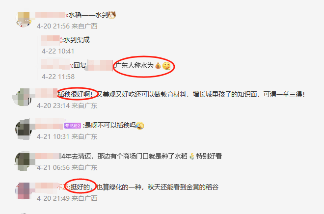 皇冠信用登2代理网址
_谁种的？东莞闹市区绿化带惊现水稻皇冠信用登2代理网址
，网友化身福尔摩斯来探案，家居广场：商户提的建议