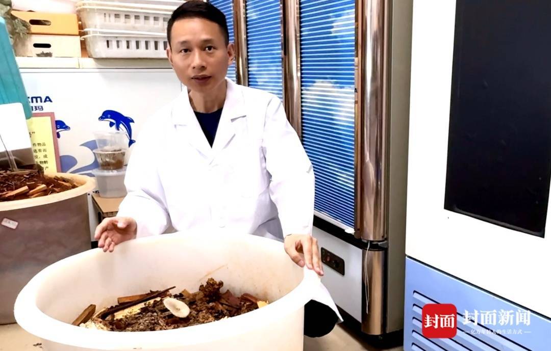 信用盘如何申请
_价格腰斩信用盘如何申请
！四川人即将实现鸡枞菌自由