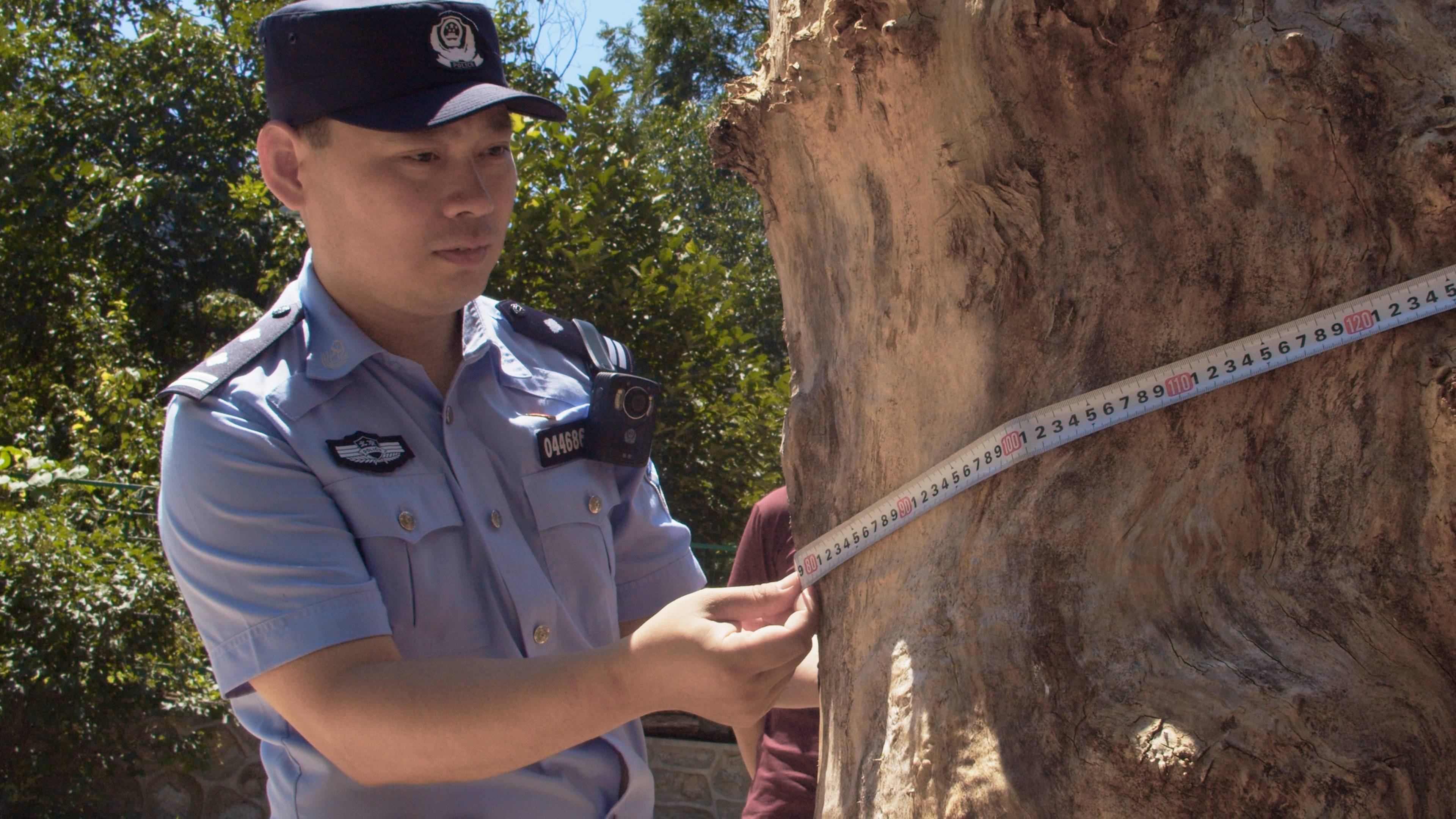 皇冠皇冠足球平台
_森林警察韩孟祺：乔装成驴友潜伏密林中皇冠皇冠足球平台
，抓获“粘鸟”嫌疑人