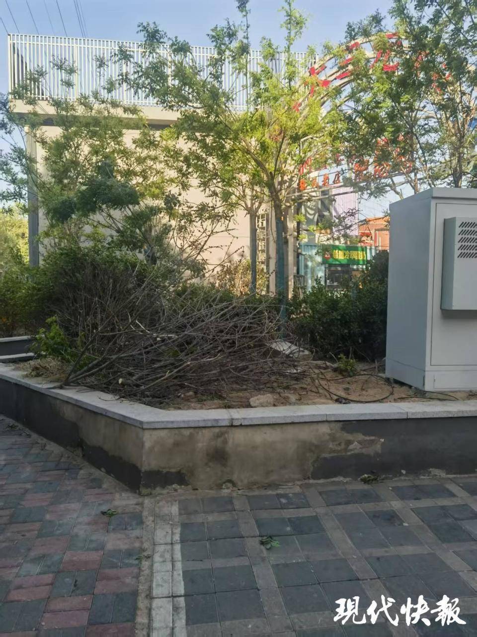 皇冠信用盘在哪里开通
_石家庄被家暴女子驾车逃跑致丈夫身亡皇冠信用盘在哪里开通
，一审以故意杀人罪获刑11年