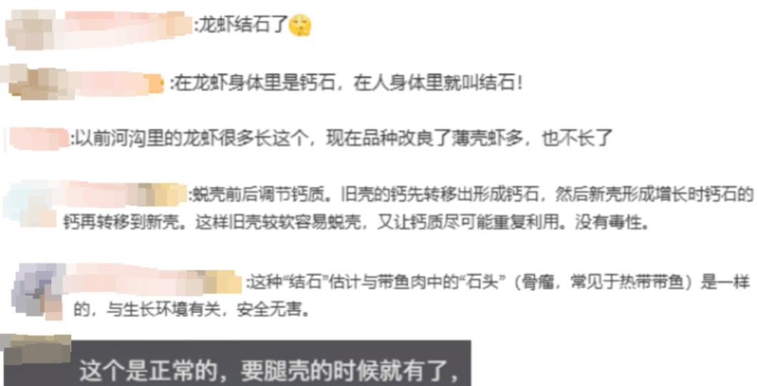 皇冠信用网代理流程
_女子吃小龙虾竟剥出多颗珠子皇冠信用网代理流程
，网友：这是长结石了吧丨有话聊
