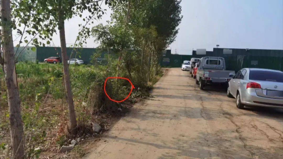 圣乔治vs曼立联_车主已去世圣乔治vs曼立联,车却在案发现场徘徊……