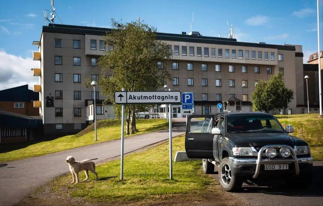 皇冠代理登3平台_中国旅行团8人在瑞典采野生蘑菇中毒皇冠代理登3平台,医院尚未确定误食的具体蘑菇种类