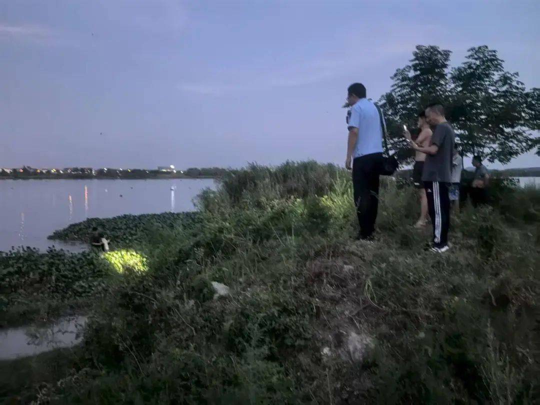 皇冠信用网需要押金吗_武汉发现5条鳄鱼皇冠信用网需要押金吗,已“落网”!系人为放生