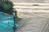 阿塞纳希切万vs卡巴拉_女子与妹妹因清理狗屎发生争执阿塞纳希切万vs卡巴拉,将2只狗从21楼扔下摔死,狗买回不到一个月,最小1斤重