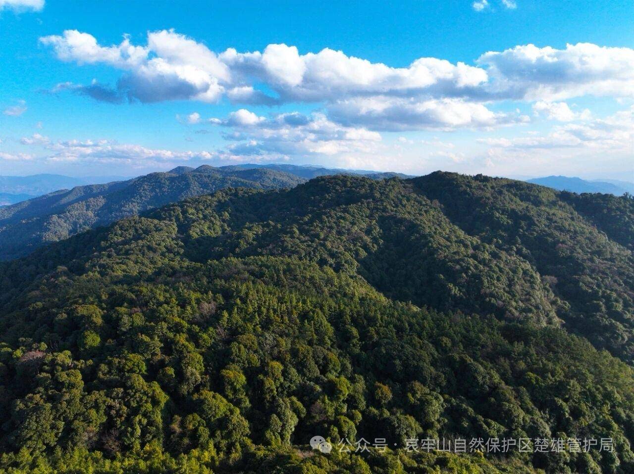 塞尔维亚超级联赛_云南哀牢山新规出台:禁止任何单位和个人擅入哀牢山自然保护区塞尔维亚超级联赛,从事科研活动须报批