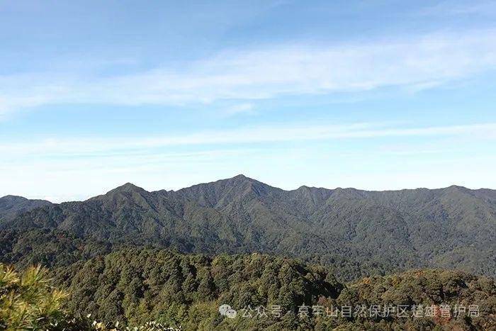 塞尔维亚超级联赛_云南哀牢山新规出台:禁止任何单位和个人擅入哀牢山自然保护区塞尔维亚超级联赛,从事科研活动须报批