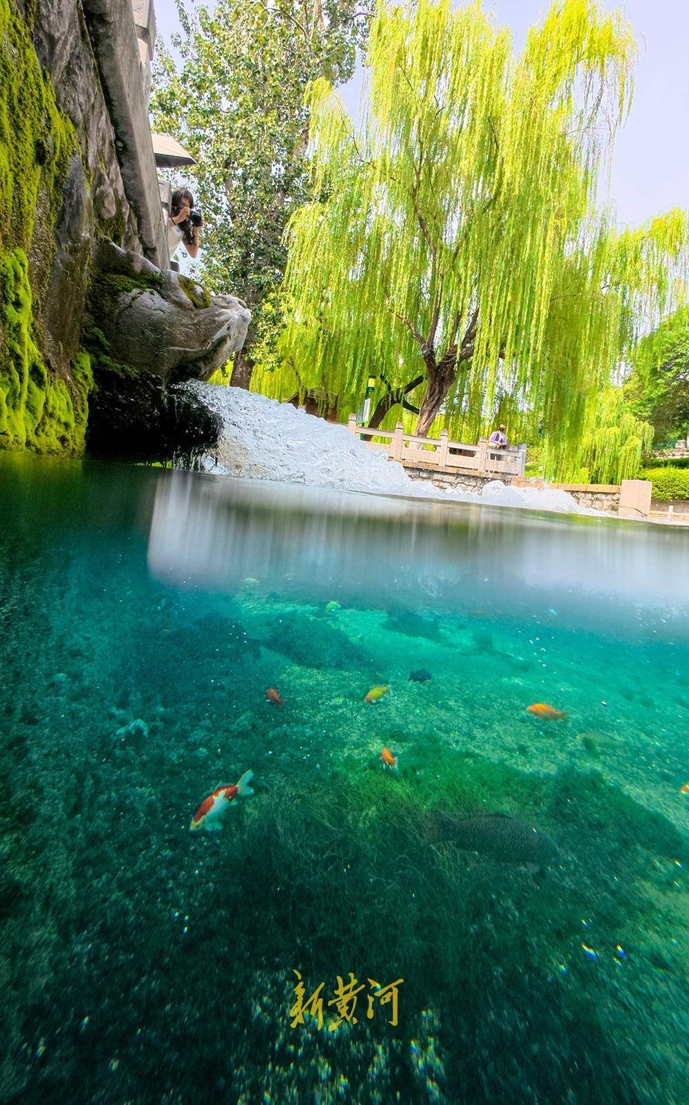 波多黎各职业女子篮球联赛_喷涌势头旺盛波多黎各职业女子篮球联赛,济南黑虎泉将迎恢复喷涌22周年