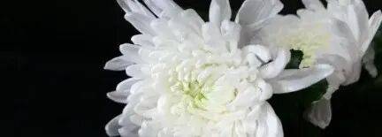 波斯尼亚和黑寒哥维那U21 vs 以色列U21_乌军士兵乔装成俄军波斯尼亚和黑寒哥维那U21 vs 以色列U21,与俄士兵寒暄,随后趁其不备将两名俄军枪杀,无人机拍下全过程