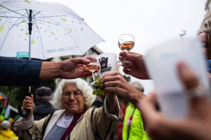 怎么开皇冠信用平台_牛弹琴:法国的大麻烦来怎么开皇冠信用平台了