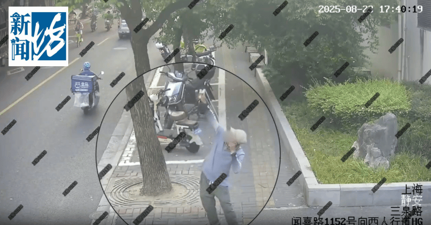 体育皇冠信用网_叶某(60岁)已被刑拘体育皇冠信用网!监控曝光…网友怒斥如此行径太恶劣