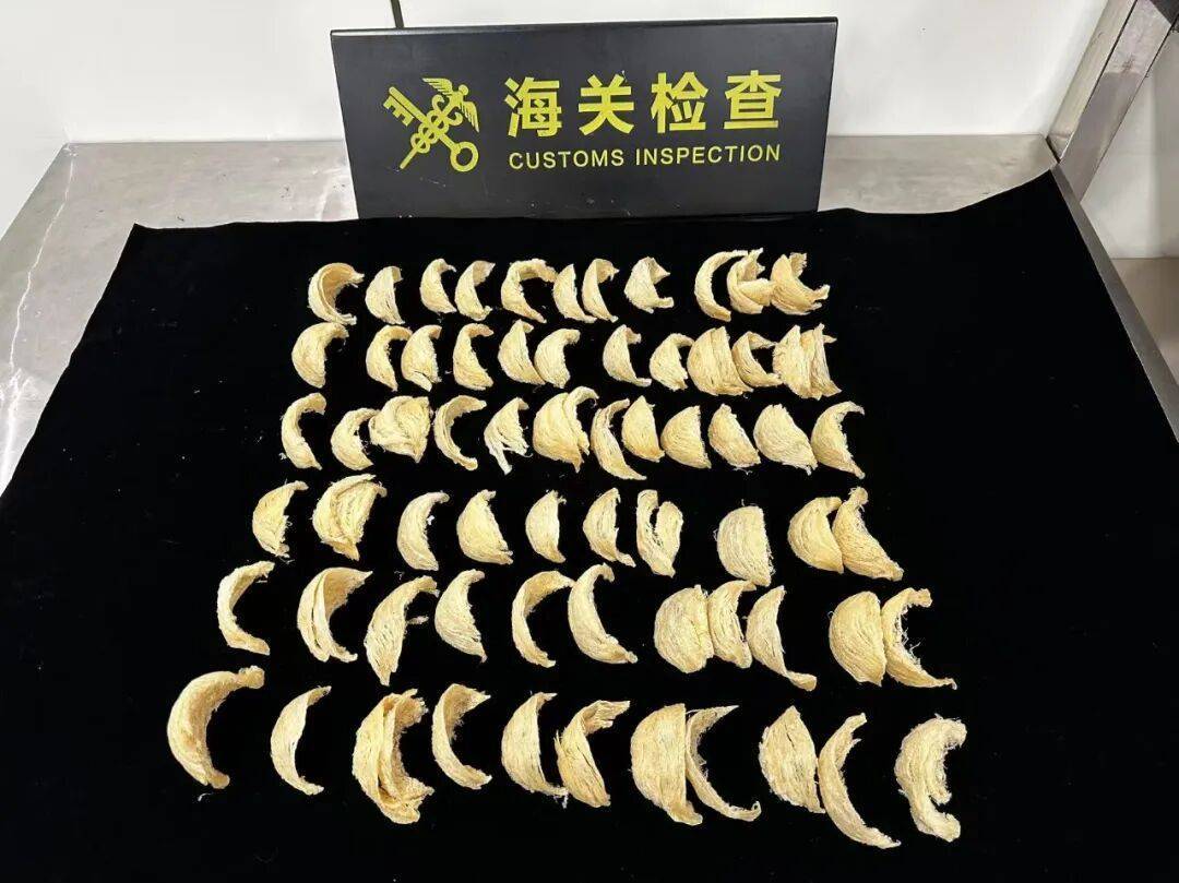 怎么开通皇冠信用盘盘口_太恶心!女子被查怎么开通皇冠信用盘盘口,在打底裤内搜到了用塑料袋包裹的大量食品……