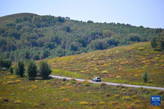 皇冠信用盘代理_初秋的乌兰布统草原