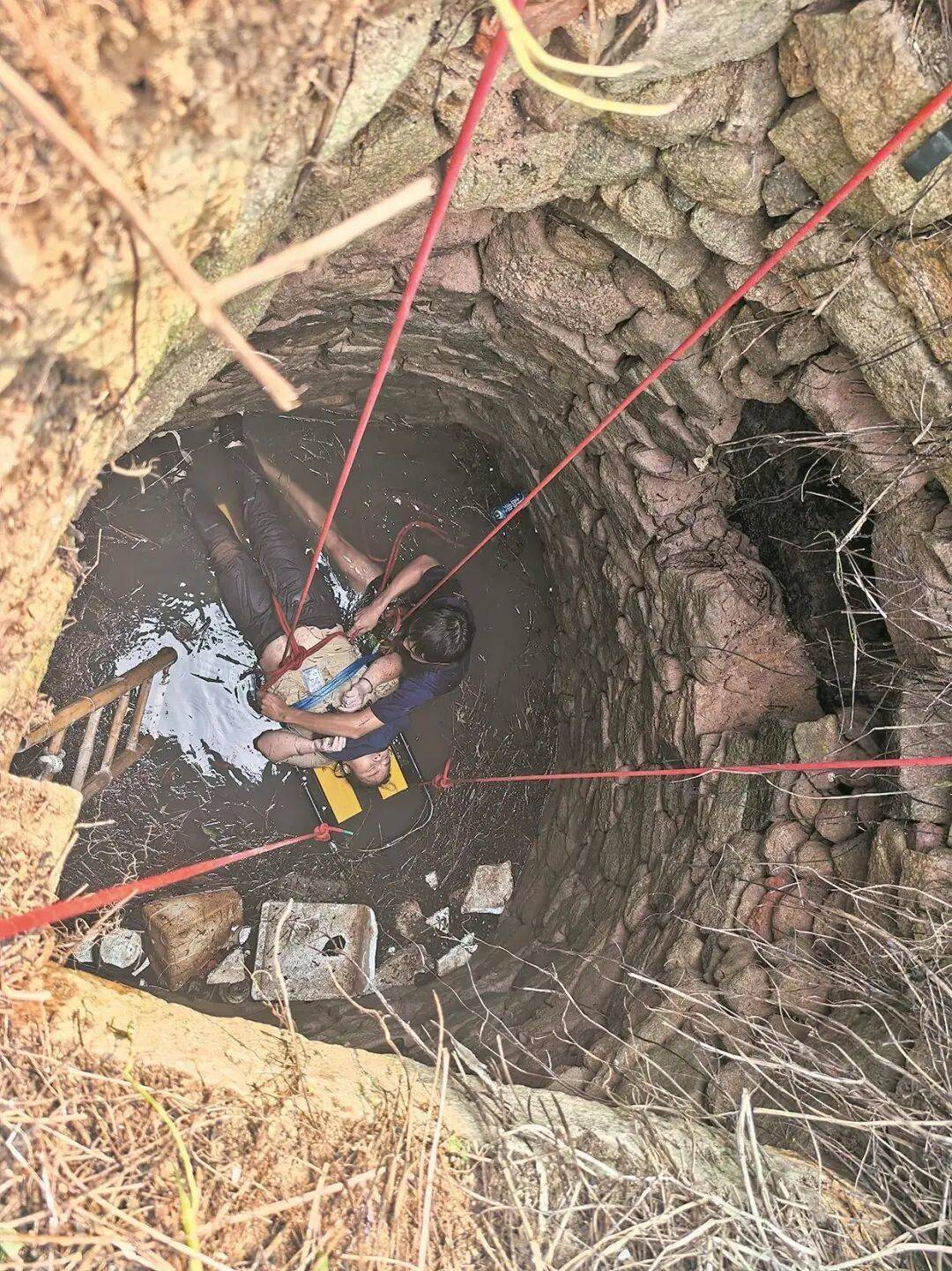 英格兰足球协会联赛_泉州坠井女子“54小时噩梦”:几条蛇爬身上英格兰足球协会联赛,双侧肋骨骨折!绝望时靠一个信念坚持活下来……