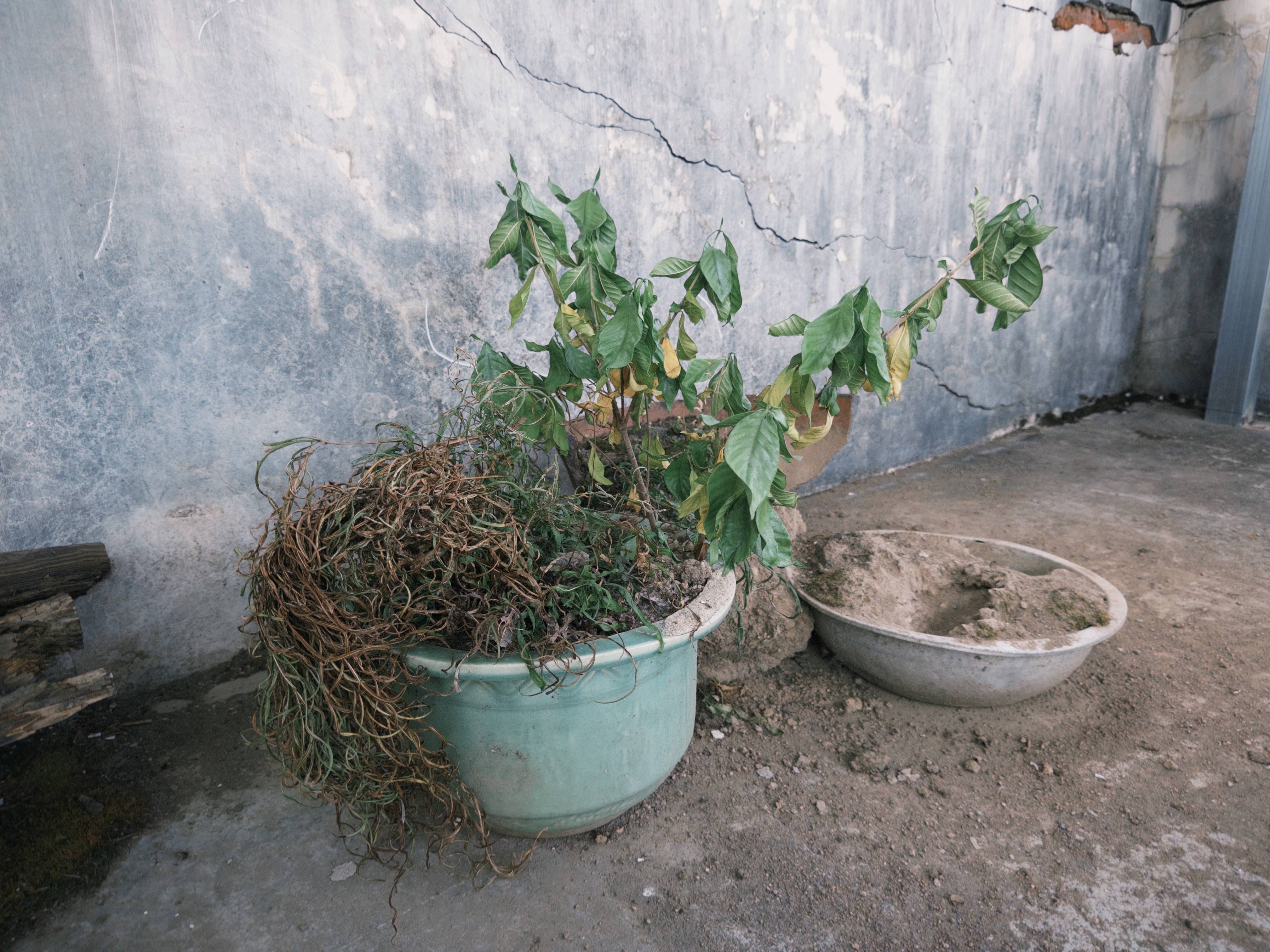 皇冠皇冠信用网代理_七旬母亲卖掉儿子3万斤藏书 称读书害了皇冠皇冠信用网代理他