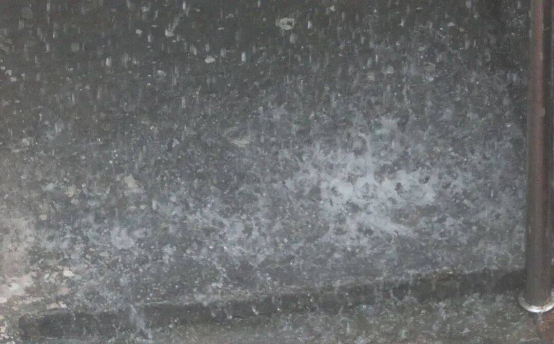 信用网怎么开户_暴雨、大风、大浪来袭信用网怎么开户!青岛市发布防汛预警!