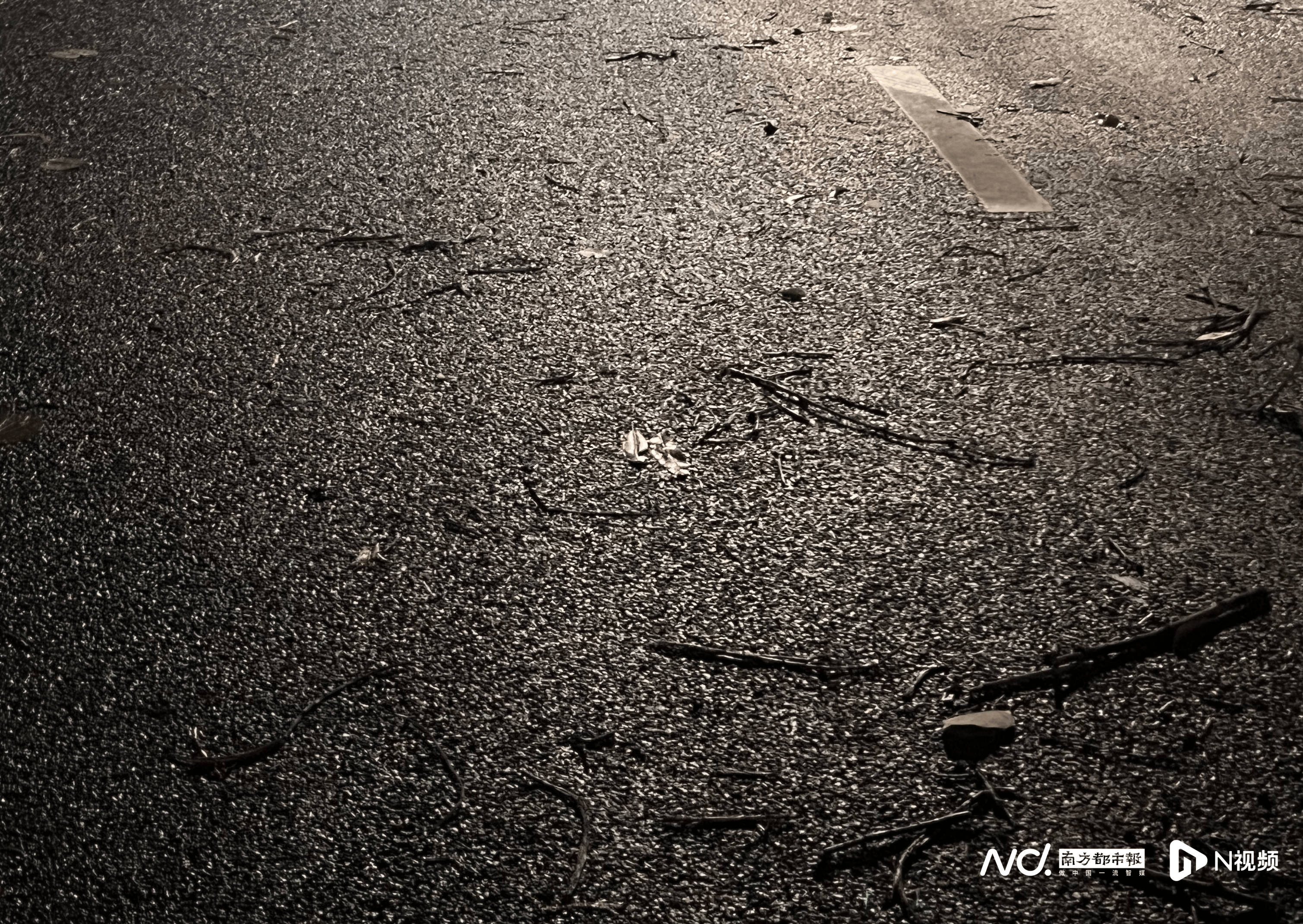 皇冠信用網出租足球_佛山官宣解除“五停”后两小时内皇冠信用網出租足球,我们在街头看见