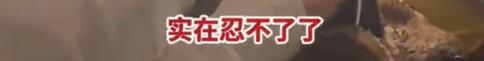 皇冠信用网出租_高铁上因邻座男童长时间踢座皇冠信用网出租,女子写管不住小孩别带,被家长怼哭