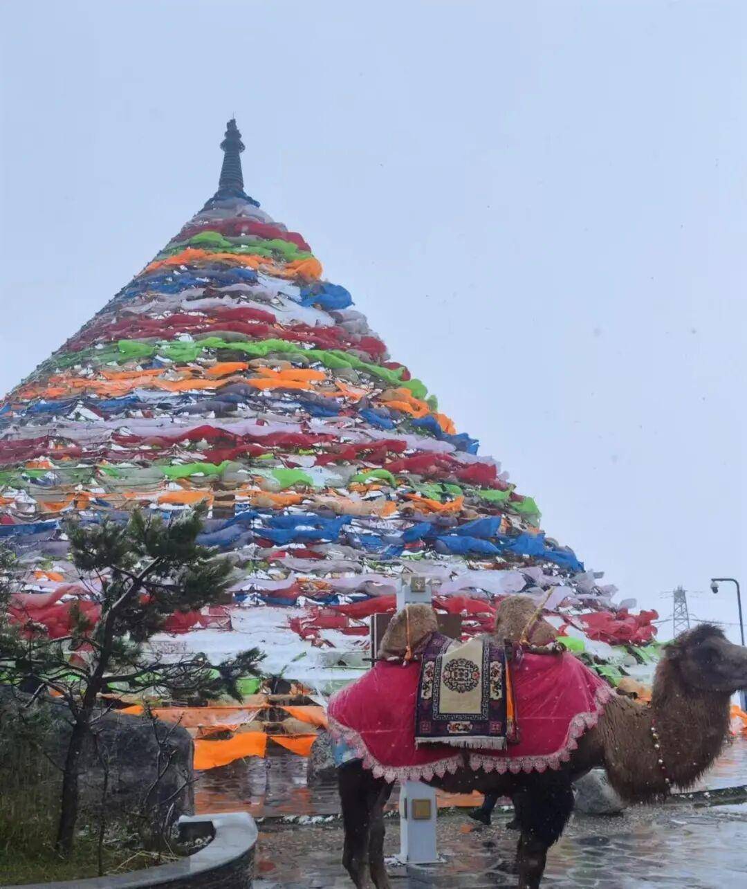 皇冠信用網怎么弄_多地突降大雪皇冠信用網怎么弄!