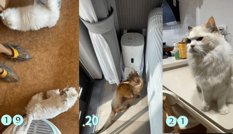 皇冠信用網登2代理申请_需求激增!男子长假连接270单皇冠信用網登2代理申请,其中一笔收费8100元,“我有多套房,有双学位,客户很信任”;律师提醒→