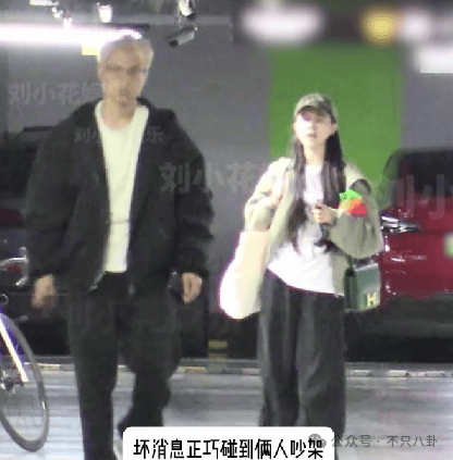 hga035会员注册_他俩没分手但被拍到吵架了hga035会员注册，吵得很凶......