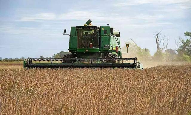 皇冠信用网正网
_阿根廷继续卖中国大豆皇冠信用网正网
,美国放狠话,我使馆回应亮了:美方管不着