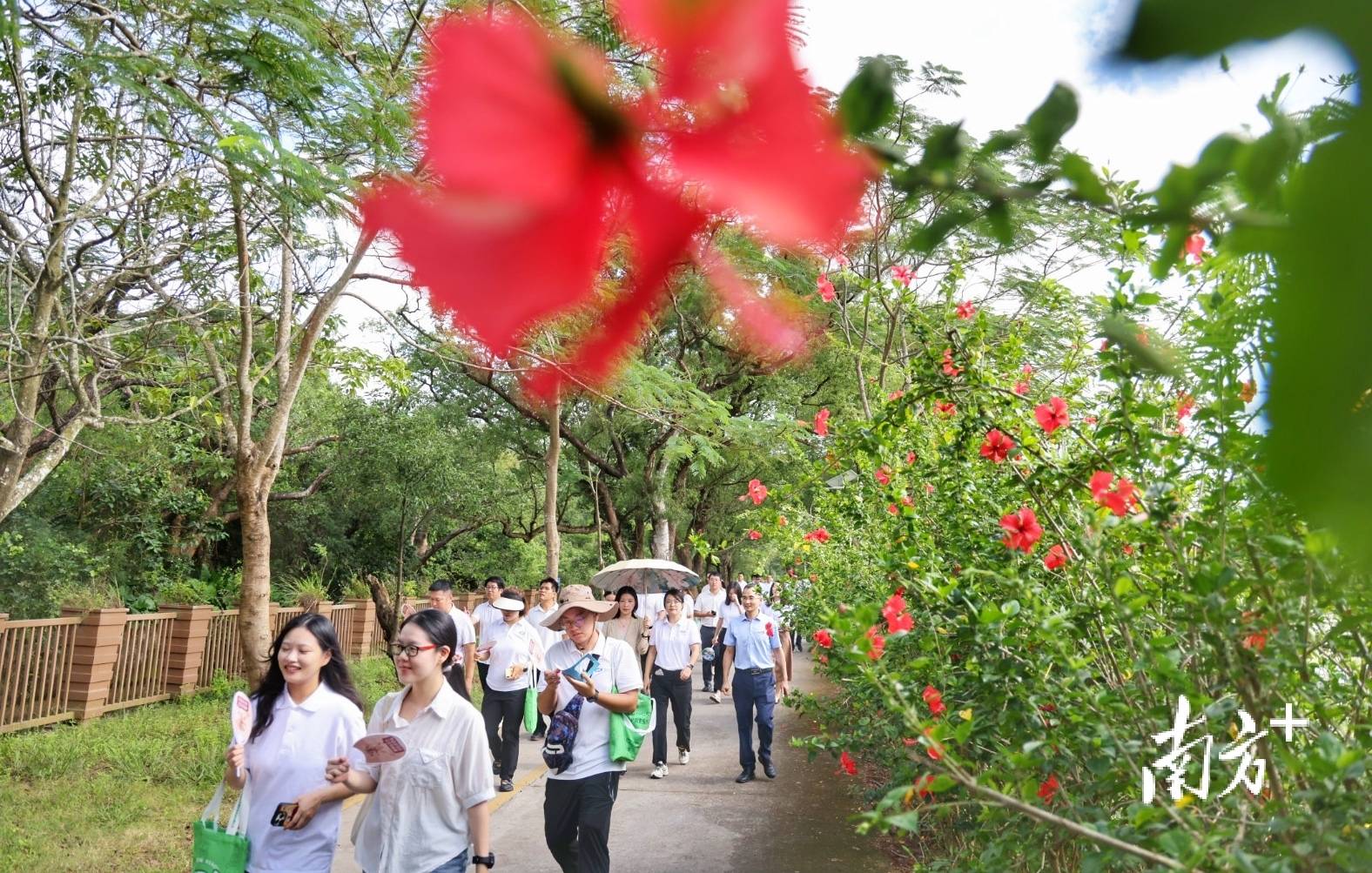 皇冠信用盘会员怎么开通
_中山城建集团“连心桥”移交皇冠信用盘会员怎么开通
,村企共建绘就桂南新画卷