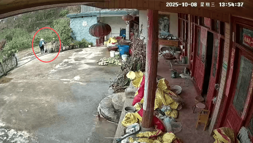 皇冠登3新2管理
_93岁老人进山失联皇冠登3新2管理
,两天后发现他倒挂在树杈上苦撑……