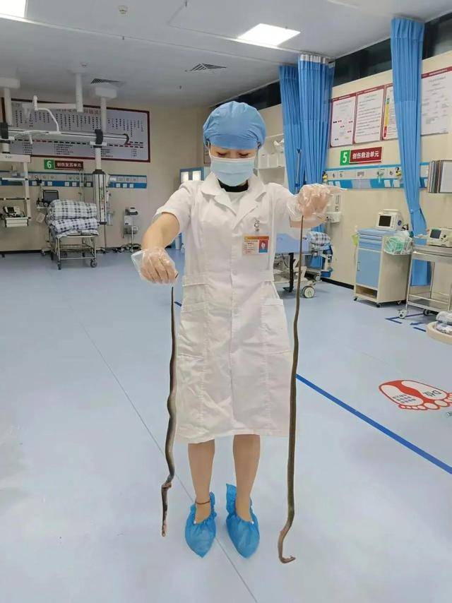 皇冠信用網需要押金吗
_广东62岁阿叔网鱼网到2条眼镜蛇皇冠信用網需要押金吗
,被咬伤后当场打死,并打包提进医院