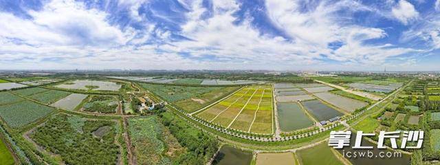 皇冠信用網登3代理
_荒滩变绿洲 湖畔起乐园|一江碧水向东流