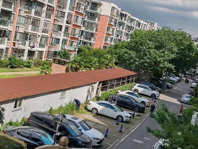 皇冠信用盘哪里申请
_上海居民投诉后傻眼:只拆了一半!小区绿化被大量铁皮房霸占皇冠信用盘哪里申请
,还有人住?居民直指小区公共收益疑云