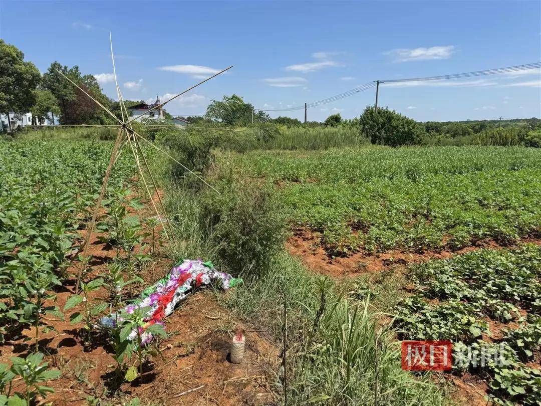世界杯信用网正网
_头部中弹!近日安徽18岁男孩深夜遭遇枪击世界杯信用网正网
,枪是从哪来的?