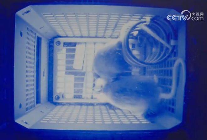 hga035怎么注册账号
_神舟二十一号升空!现在的问题是hga035怎么注册账号
,导师上天了,组会还开吗?