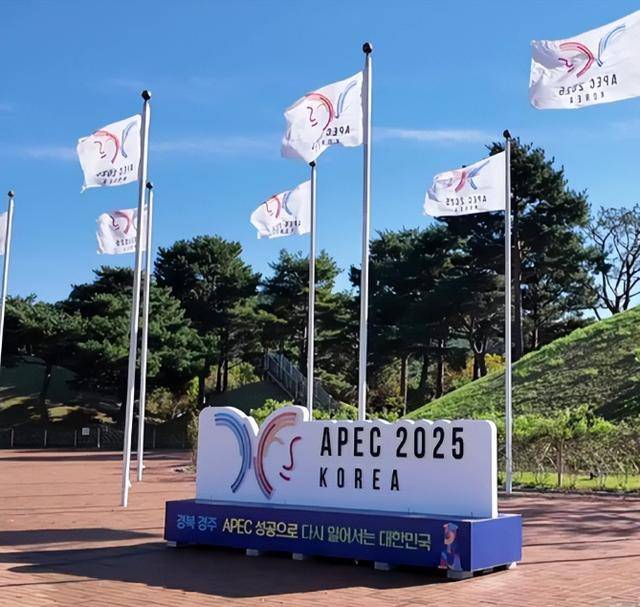 皇冠登3新2管理
_果然飘了:若大陆不作书面保证皇冠登3新2管理
,台湾将拒绝出席!国台办一句话定调