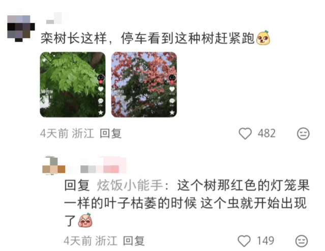 皇冠会员如何申请
_汽车被虫子啃得都是窟窿皇冠会员如何申请
,“一边咬一边往里钻”!很多人中招