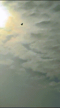 皇冠登1登2登3出租
_被打惨后皇冠登1登2登3出租
,伊朗空军飞行员对苏-57感到失望:本来要买150架歼-10