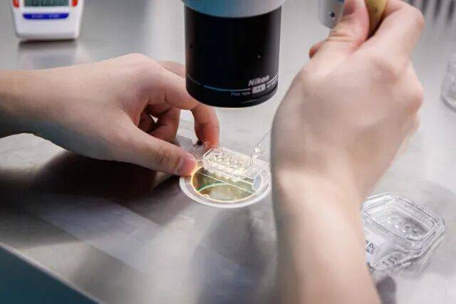 皇冠信用盘如何申请
_一婴儿出生就15岁皇冠信用盘如何申请
!被称为“最老婴儿”