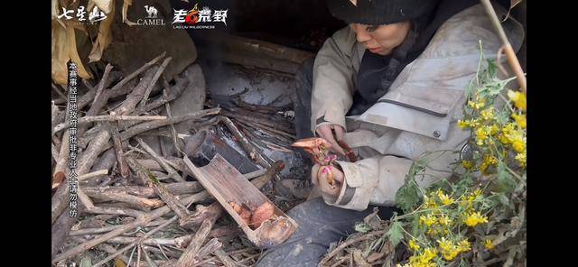 皇冠信用盘开户
_“冷美人”退赛皇冠信用盘开户
,错失20万奖金