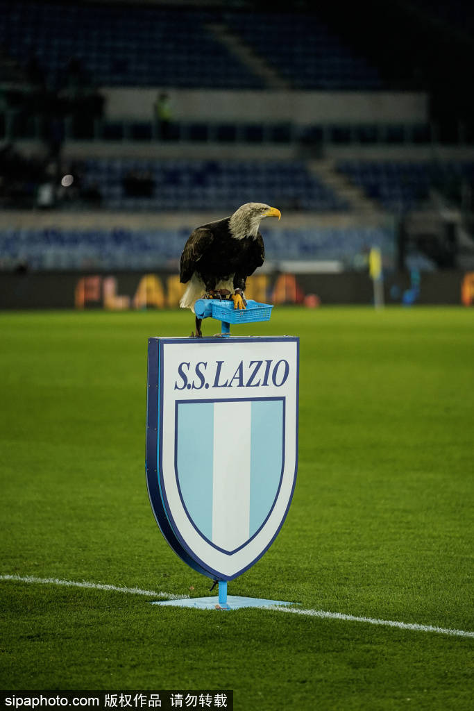 布鲁克林篮网 vs 夏洛特黄蜂
_法比奥双响助力国安布鲁克林篮网 vs 夏洛特黄蜂
,2-0击败河南进军足协杯决赛!