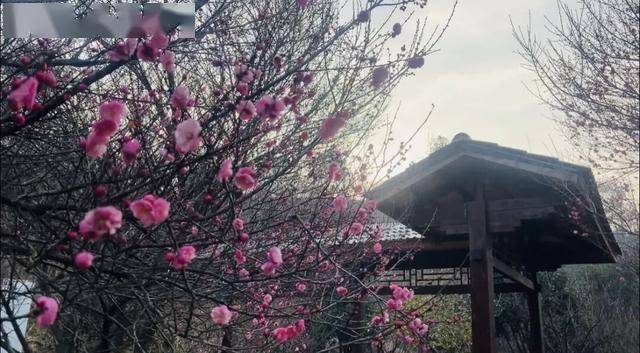 阿尔巴尼亚超级联賽
_太突然!武汉正大量出现阿尔巴尼亚超级联賽
,不用等到春节